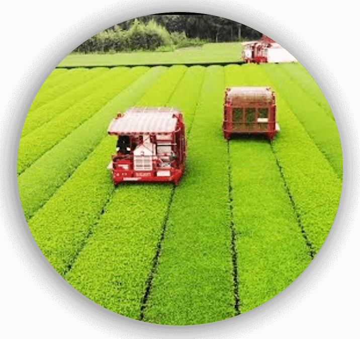 Agriculture